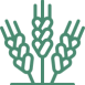 ico_1 ico_1
