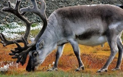 prev800_24211f90333543f448f8dc3ffb6460b2